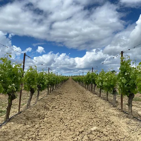 Echappee Vigneronne Campismo de Luxo