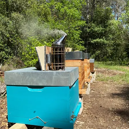 Luxury tent Echappee Vigneronne