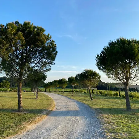 Echappee Vigneronne