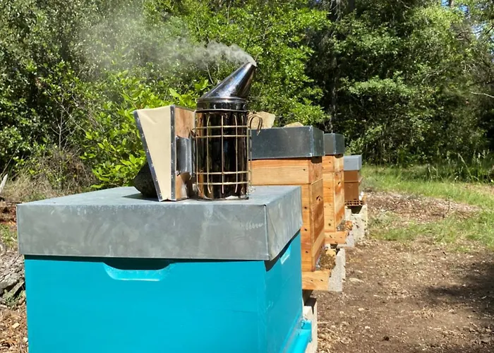 Luxury tent Echappee Vigneronne