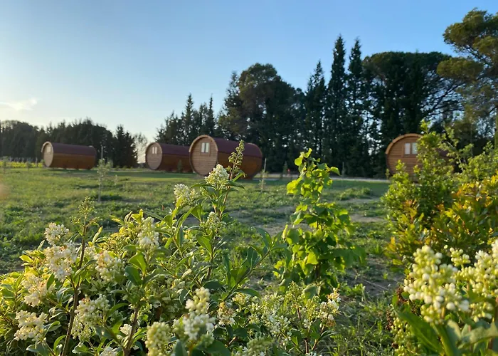 Luxury tent Echappee Vigneronne